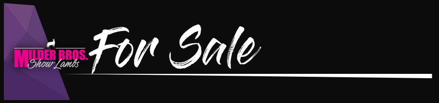 For Sale